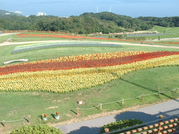 あわじ花さじき 2.jpg あわじ花さじき 2.jpg
