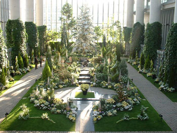 奇跡の星の植物館 クリスマスバージョン.jpg 奇跡の星の植物館 クリスマスバージョン.jpg