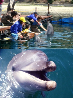 【瀬戸内海に浮かぶ楽園】 夏の淡路島を満喫！4