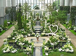 奇跡の星の植物館「ウェディングフラワーショー2014 −花嫁に贈る白い庭―」1