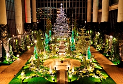奇跡の星の植物館「クリスマスフラワーショー2014」1