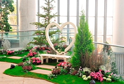 奇跡の星の植物館「クリスマスフラワーショー2014」2