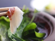 春の風物詩「桜鯛」のシーズン到来!