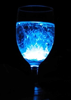 【宿泊者限定】自然の神秘を体験する海ホタル観賞ツアーのご案内2