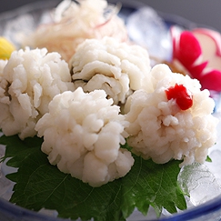 淡路鱧のシーズン到来！活鱧料理は5月10日スタートです。2