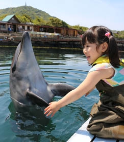 夏の淡路島ステイ！瀬戸内海に浮かぶ楽園で過ごす夏休み3