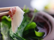 春の風物詩「桜鯛」のシーズン到来!