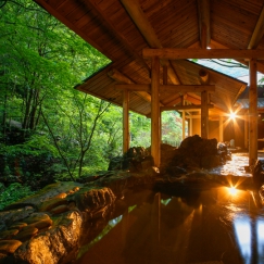 2017年5月26日（金）に新たなグループホテル“湯山荘 阿讃琴南”が誕生2