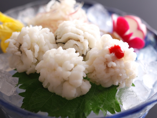 淡路鱧のお料理プランは5月10日からお愉しみ頂けます!