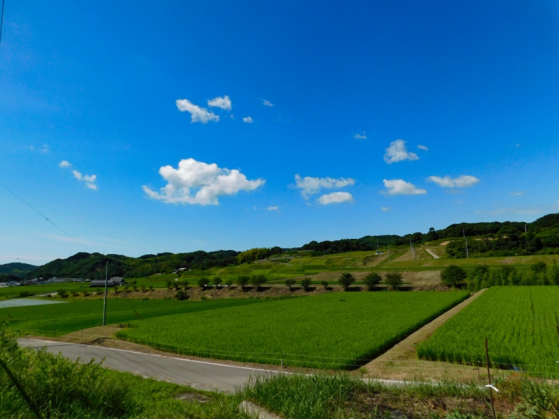 【淡路島✕サイクリング】ホテルに泊まって気軽に淡路島ライド3