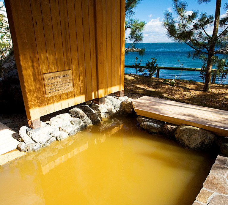 日帰りプラン ONSEN & MEAL PACKAGES