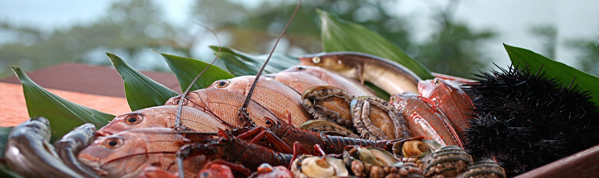 旬を堪能海の恵み