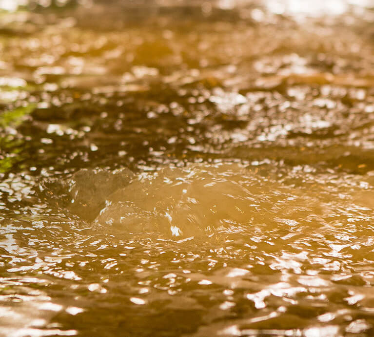 淡路棚田の湯・くにうみの湯