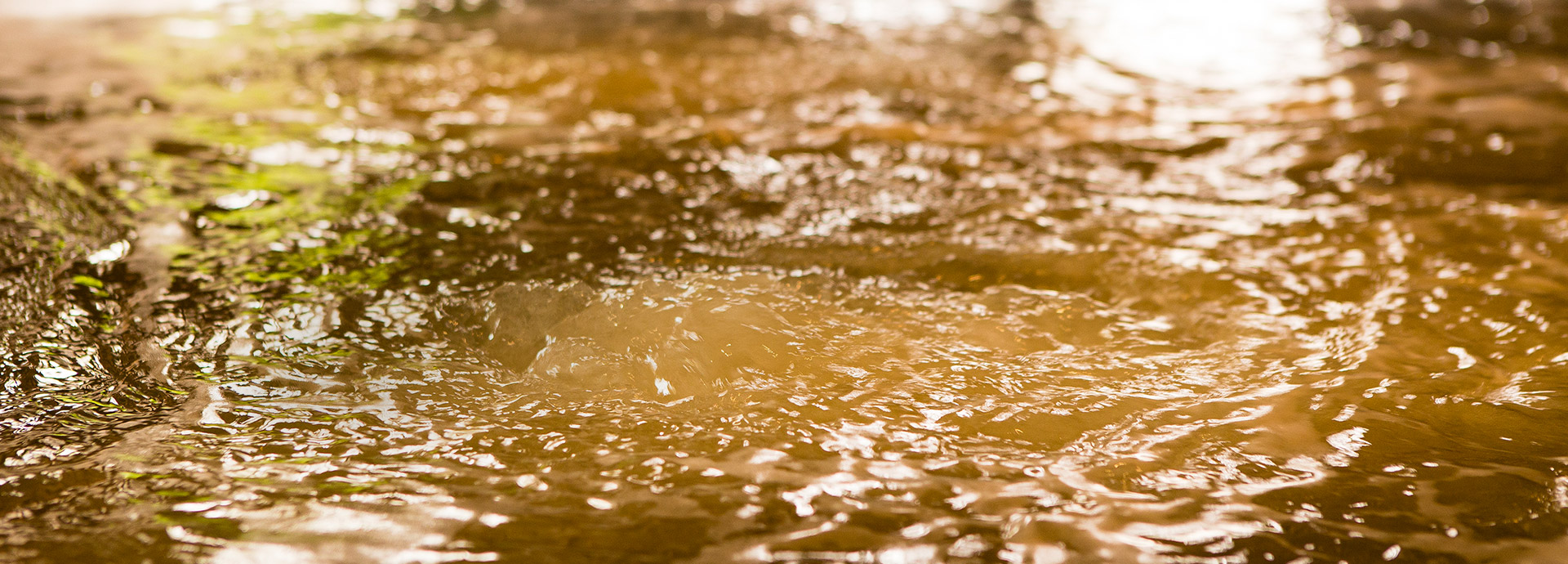 淡路棚田の湯・くにうみの湯