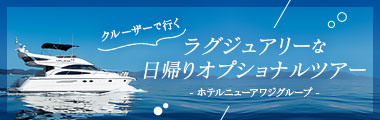 クルーザーで行くラグジュアリーな日帰りオプショナルツアー