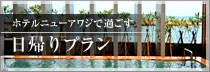 日帰りプラン