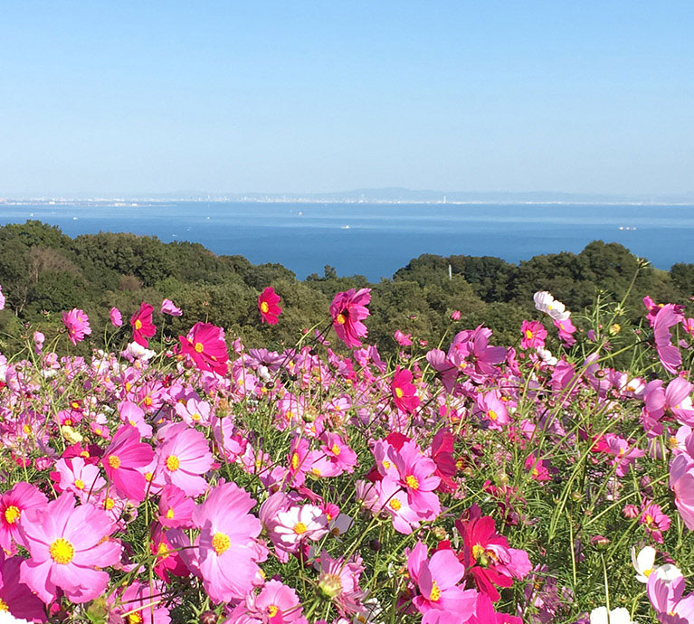 アクティブに淡路島体験 SIGHTSEEING & TOURIST ACTIVITIES