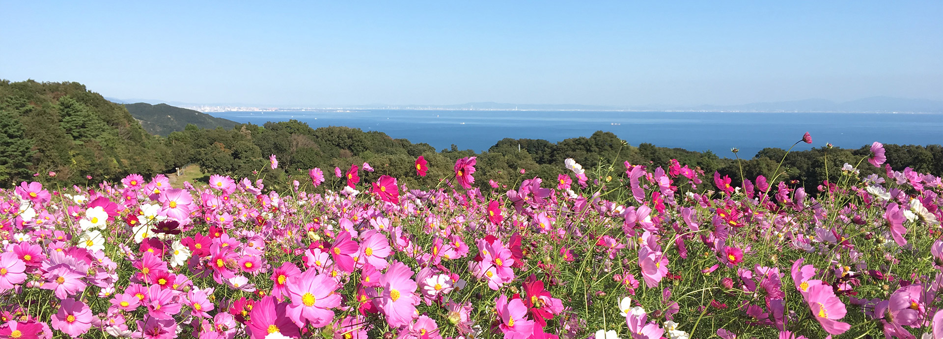 アクティブに淡路島体験 SIGHTSEEING & TOURIST ACTIVITIES